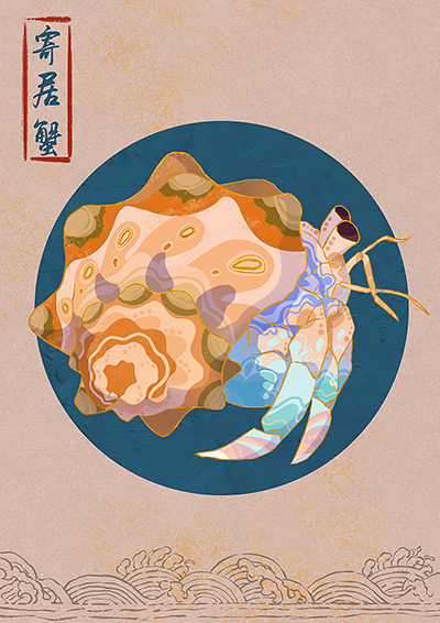3 寄居蟹.jpg
